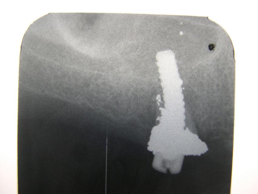 image8