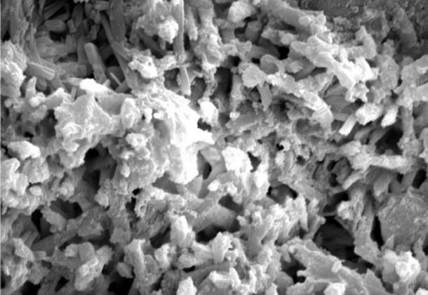 image1.1