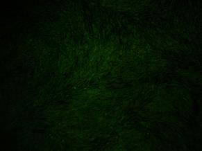 image016
