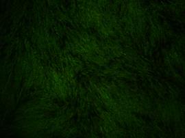 image017