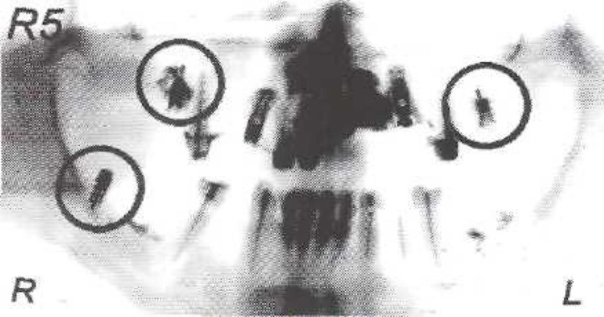 image6