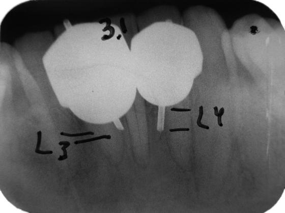 image8