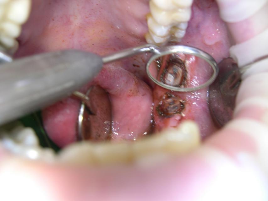 image8