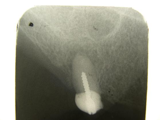 image20