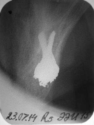 image23
