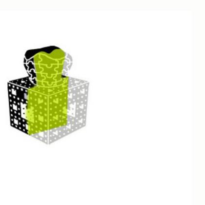 image21