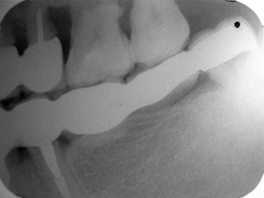 image20(8)